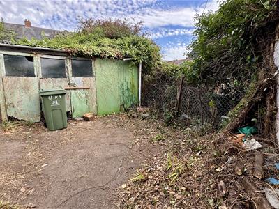 Picture 23